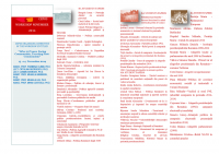 /album/galerie-foto/c22-png/